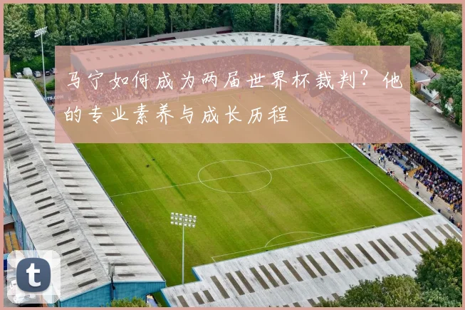 马宁如何成为两届世界杯裁判?他的专业素养与成长历程