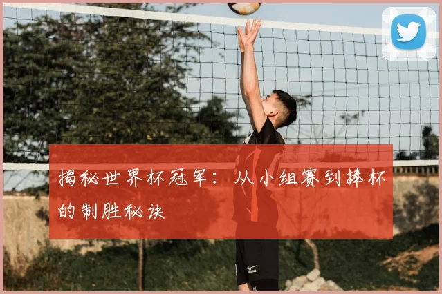 揭秘世界杯冠军:从小组赛到捧杯的制胜秘诀